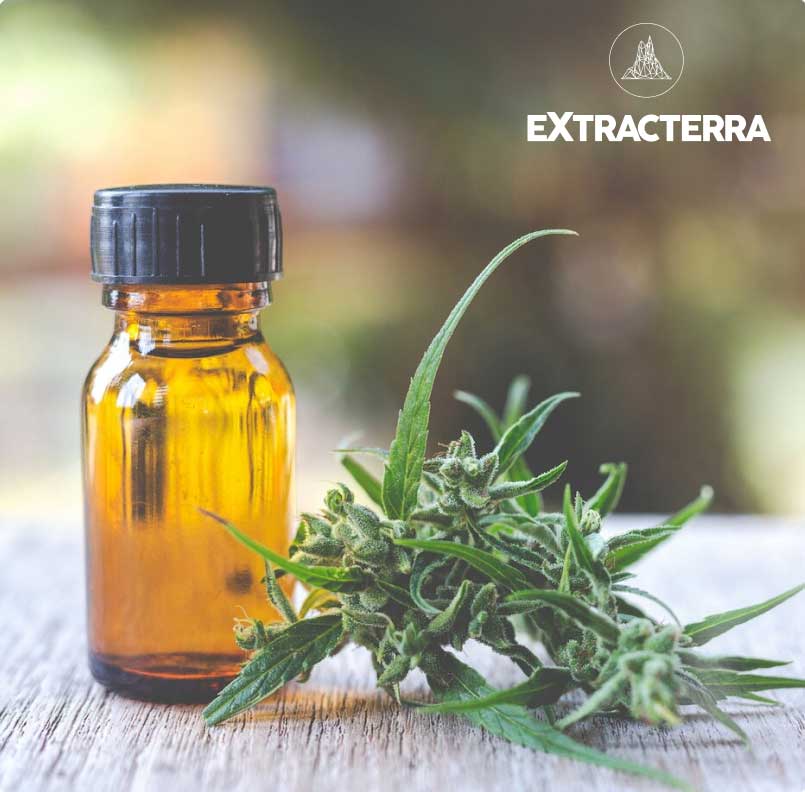 extracterra-home-img1